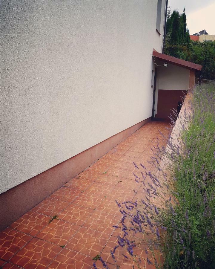 Apartament Studencki No 3 Apartment Opolznevoye Bagian luar foto